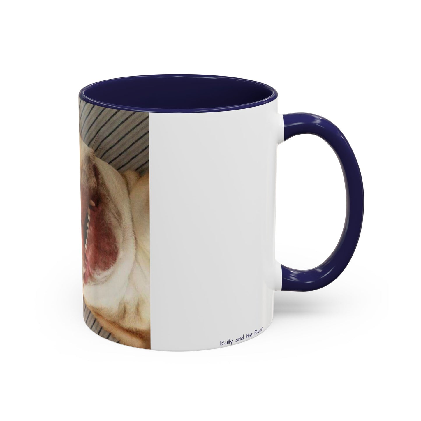 Funny Bully Mug (11, 15oz)