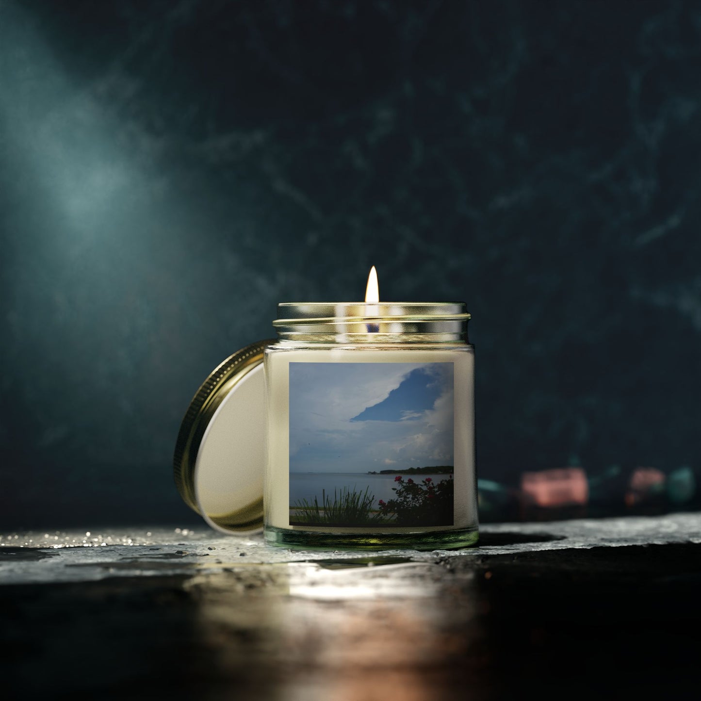 Bay View Relaxing Scented Candles - Coconut Apricot Wax (4oz & 9oz) - Perfect for Home Decor and Gift Giving