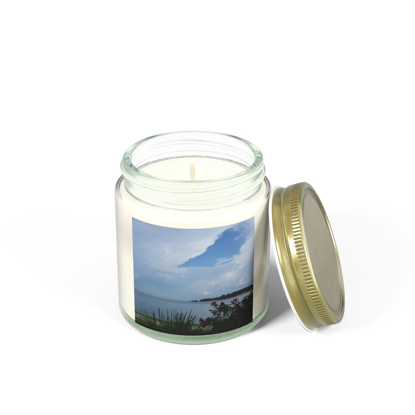 Bay View Relaxing Scented Candles - Coconut Apricot Wax (4oz & 9oz) - Perfect for Home Decor and Gift Giving