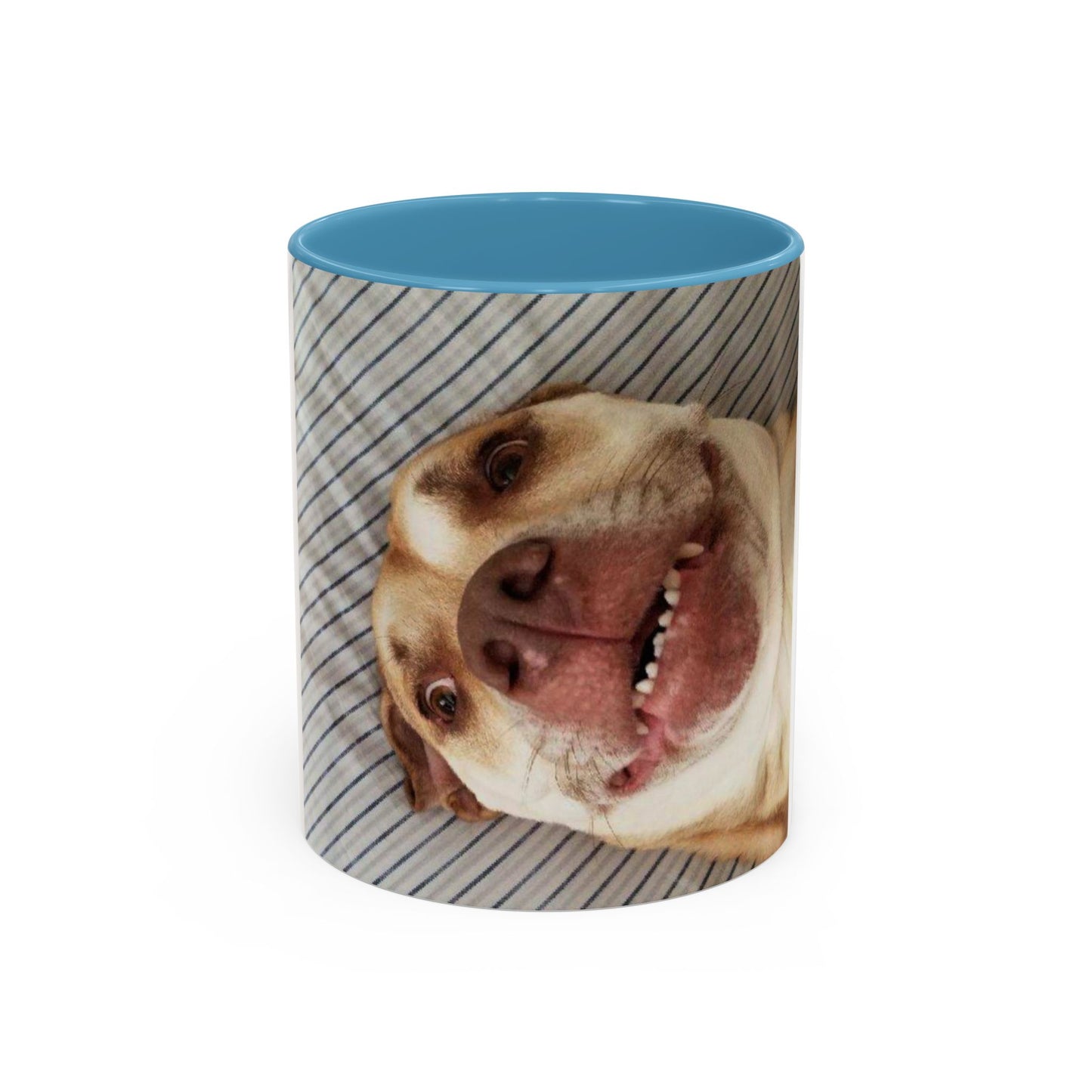 Funny Bully Mug (11, 15oz)