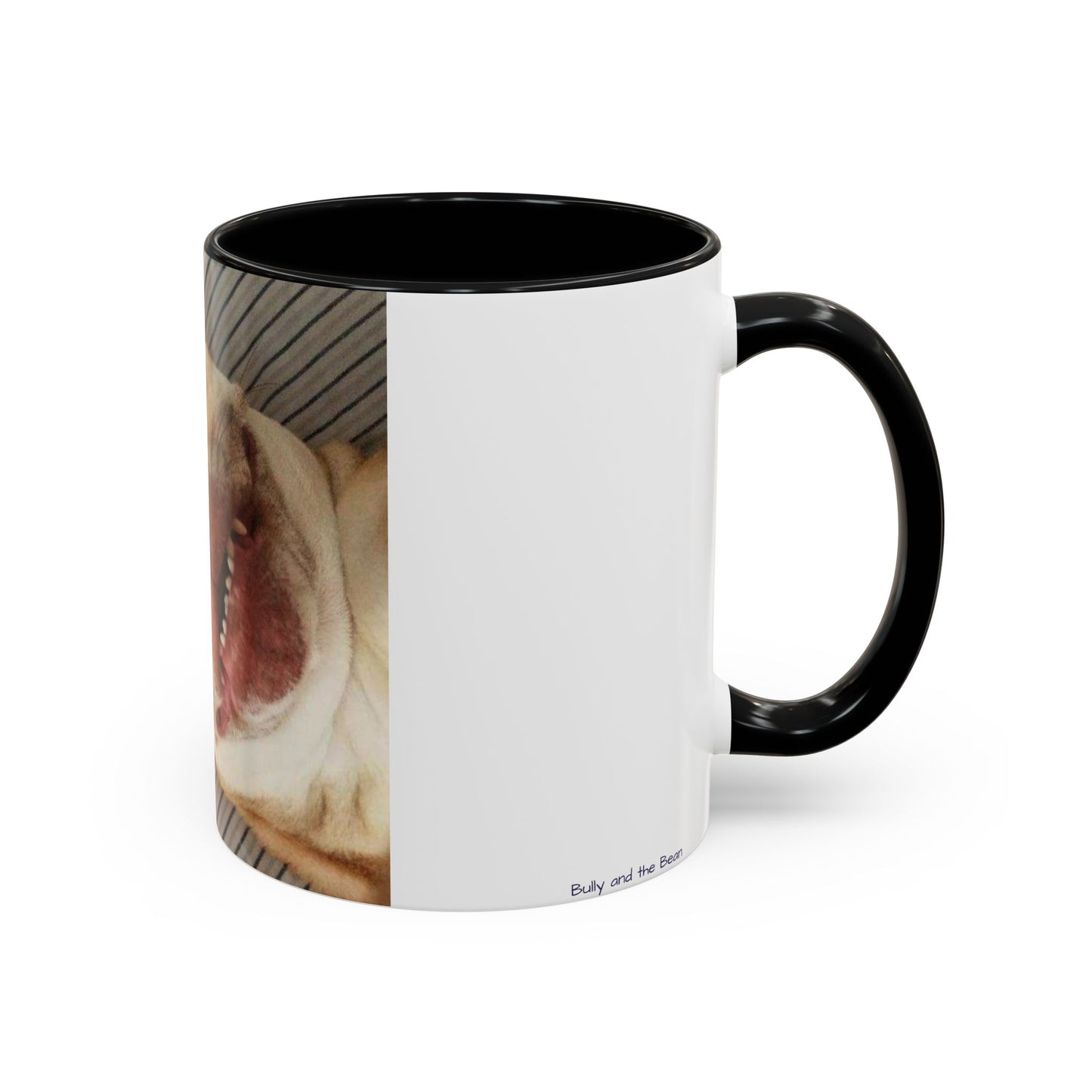 Funny Bully Mug (11, 15oz)
