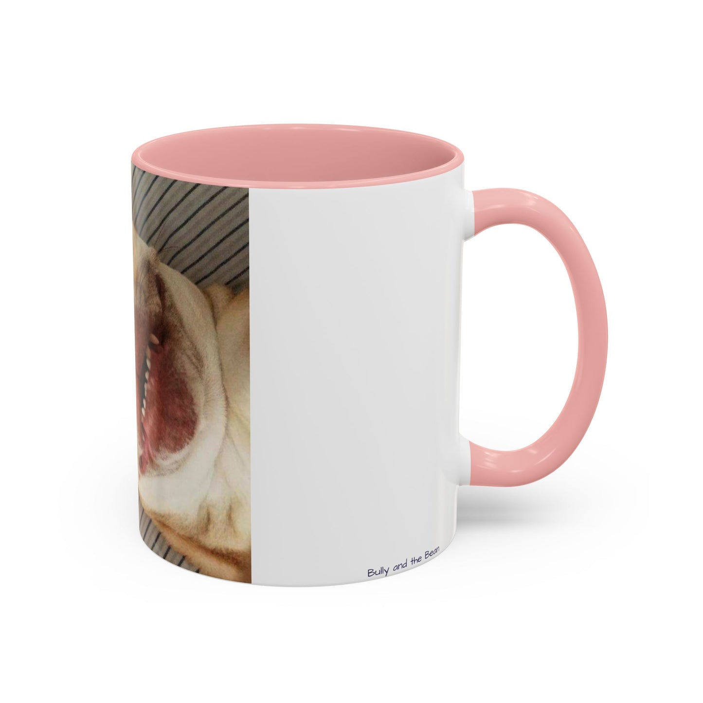 Funny Bully Mug (11, 15oz)