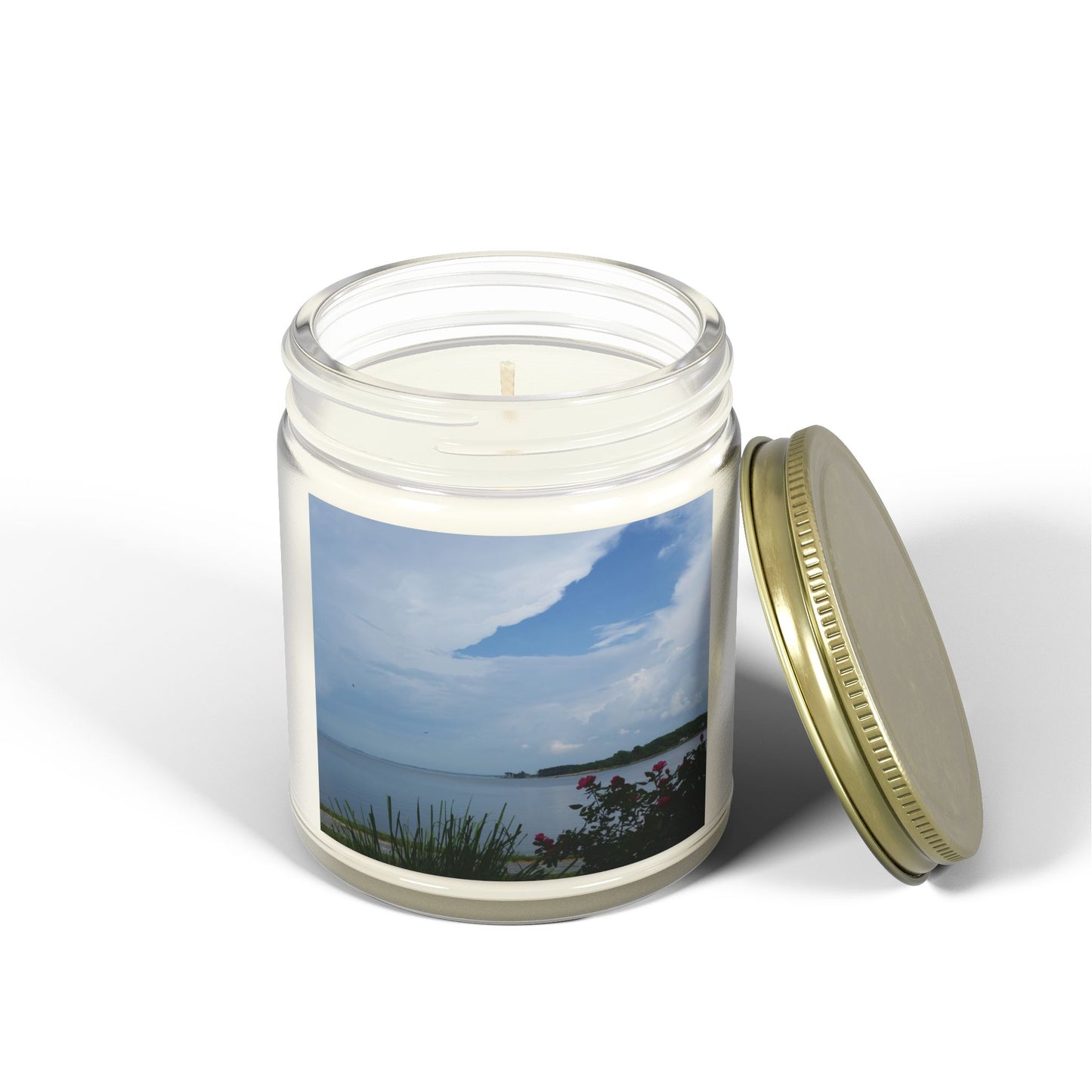 Bay View Relaxing Scented Candles - Coconut Apricot Wax (4oz & 9oz) - Perfect for Home Decor and Gift Giving