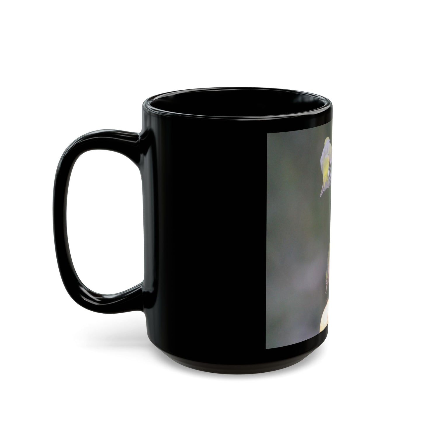 Hummingbirds Mug | Bird Lovers