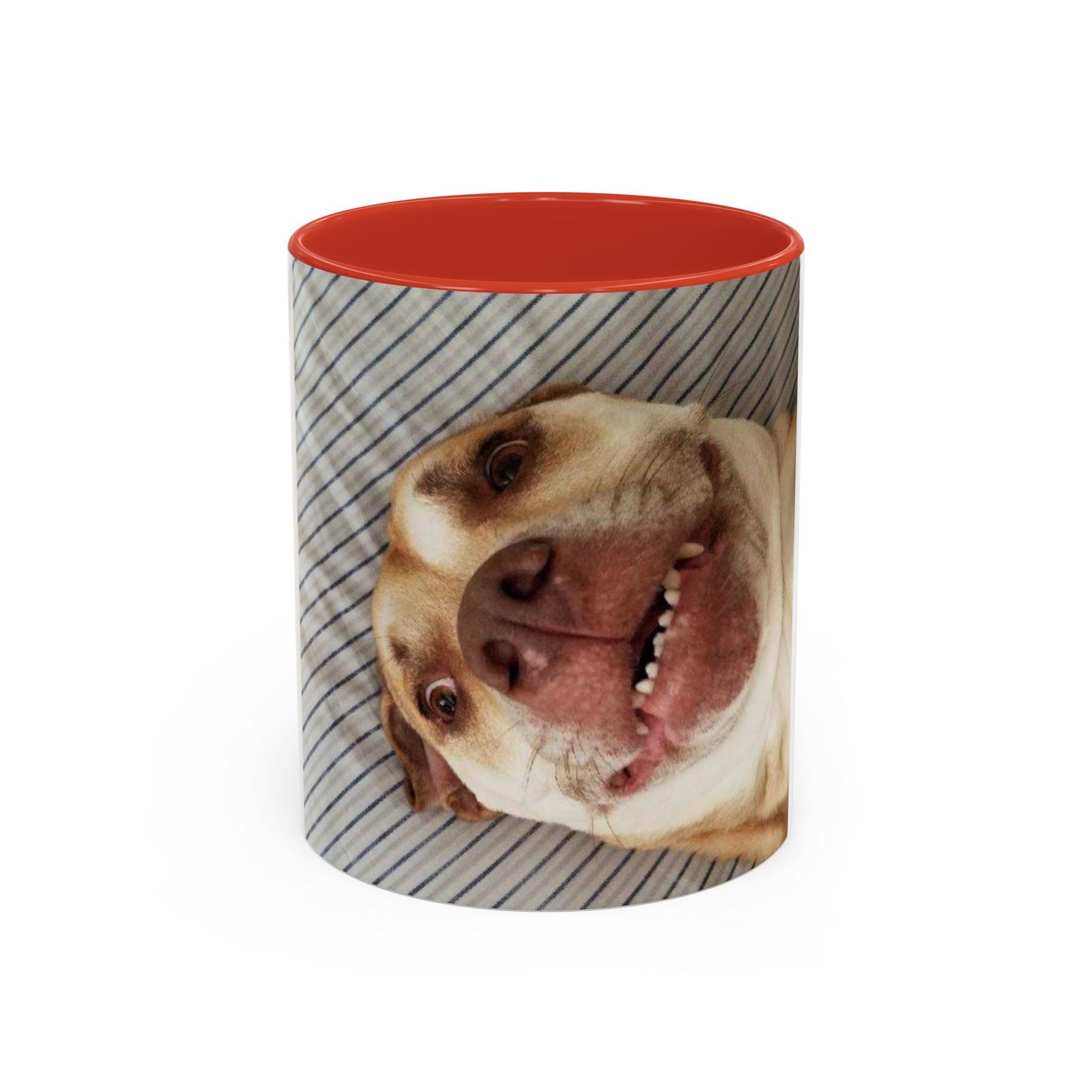 Funny Bully Mug (11, 15oz)