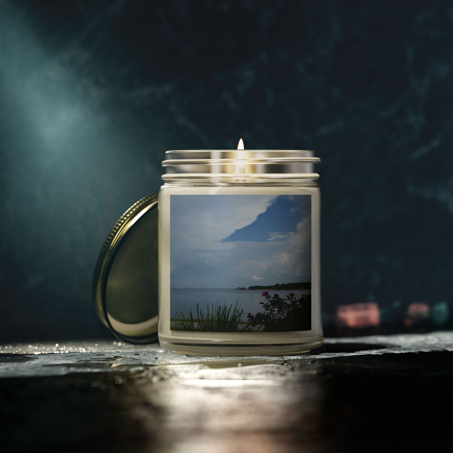 Bay View Relaxing Scented Candles - Coconut Apricot Wax (4oz & 9oz) - Perfect for Home Decor and Gift Giving