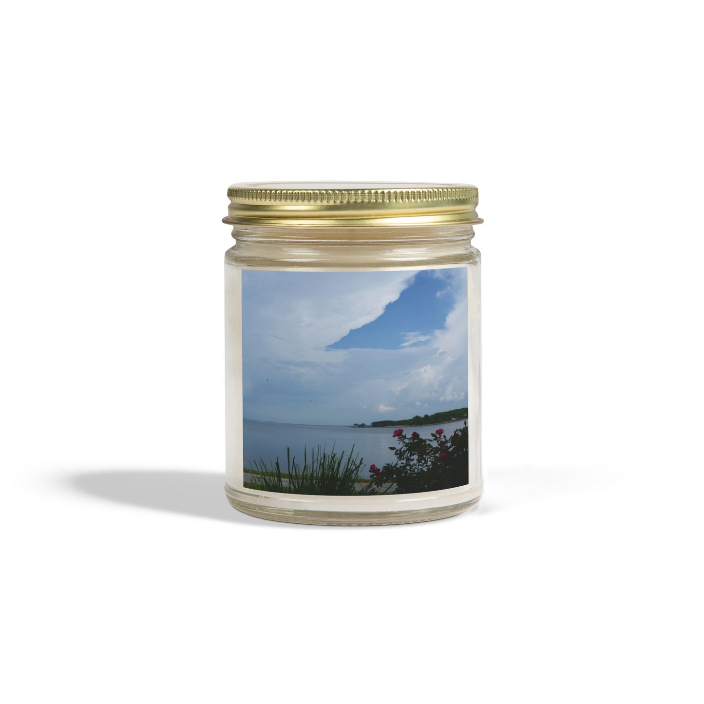 Bay View Relaxing Scented Candles - Coconut Apricot Wax (4oz & 9oz) - Perfect for Home Decor and Gift Giving