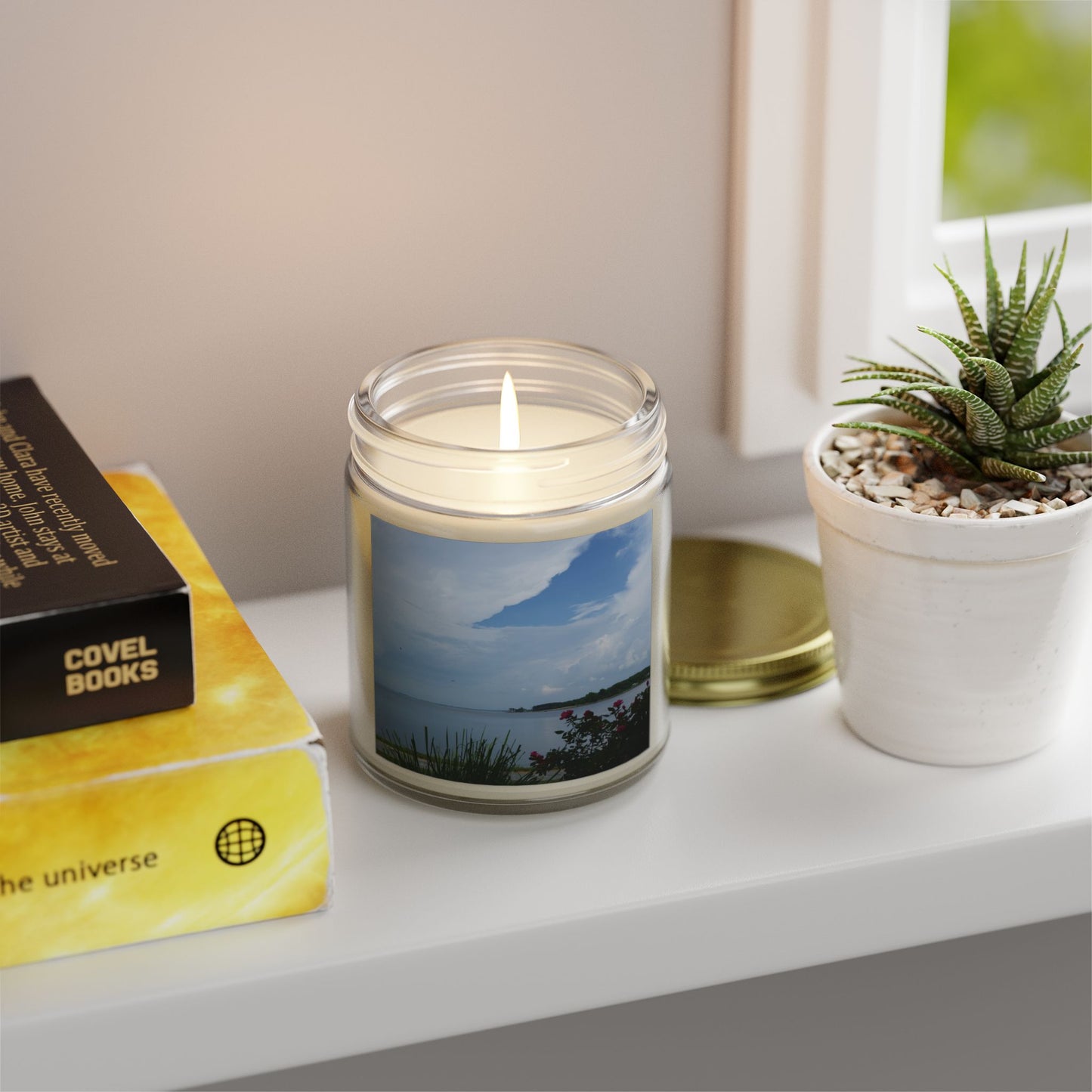 Bay View Relaxing Scented Candles - Coconut Apricot Wax (4oz & 9oz) - Perfect for Home Decor and Gift Giving