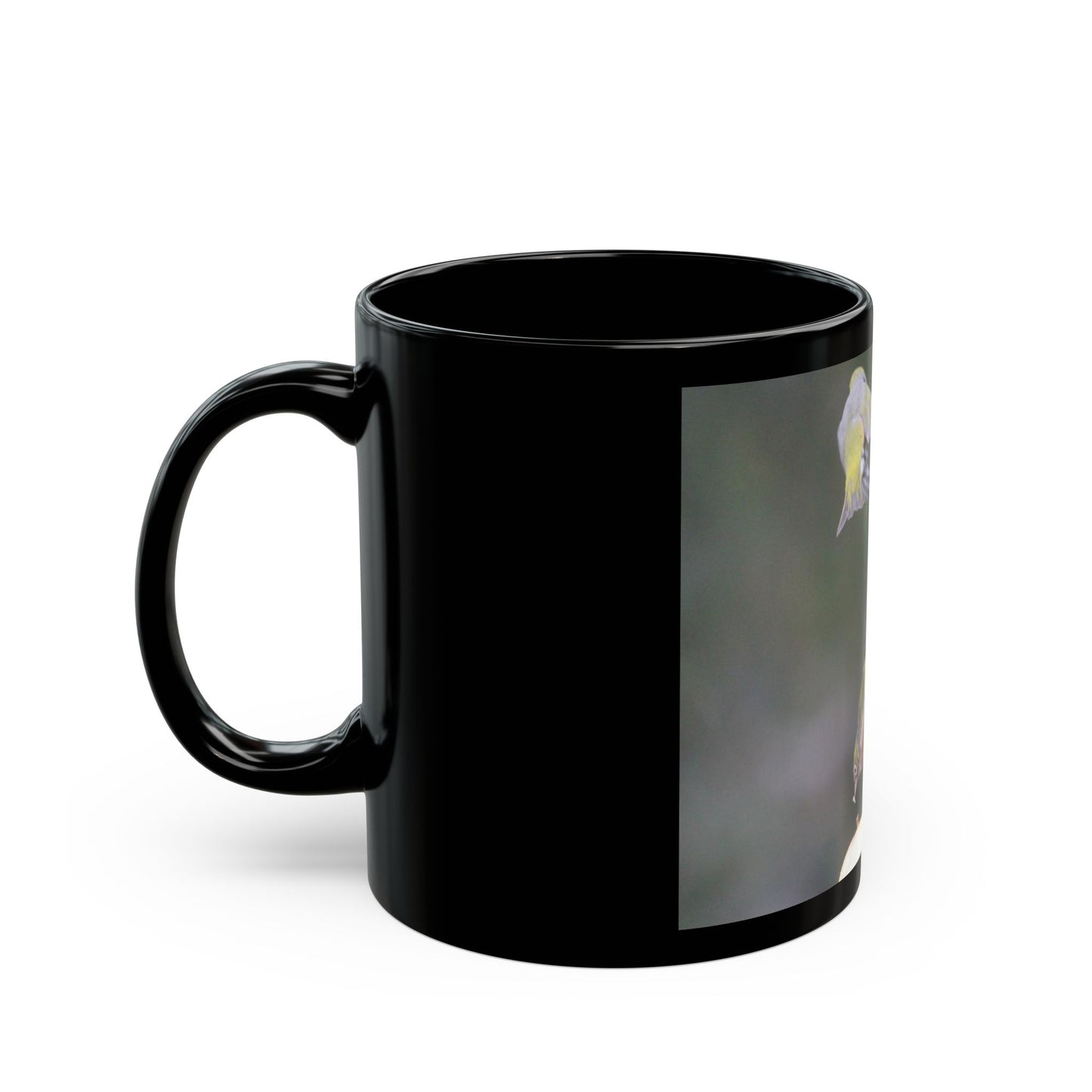 Hummingbirds Mug | Bird Lovers