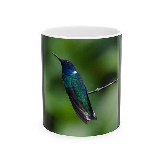 Blue / Green Hummingbird Ceramic Mug, (11oz, 15oz)