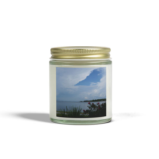 Bay View Relaxing Scented Candles - Coconut Apricot Wax (4oz & 9oz) - Perfect for Home Decor and Gift Giving