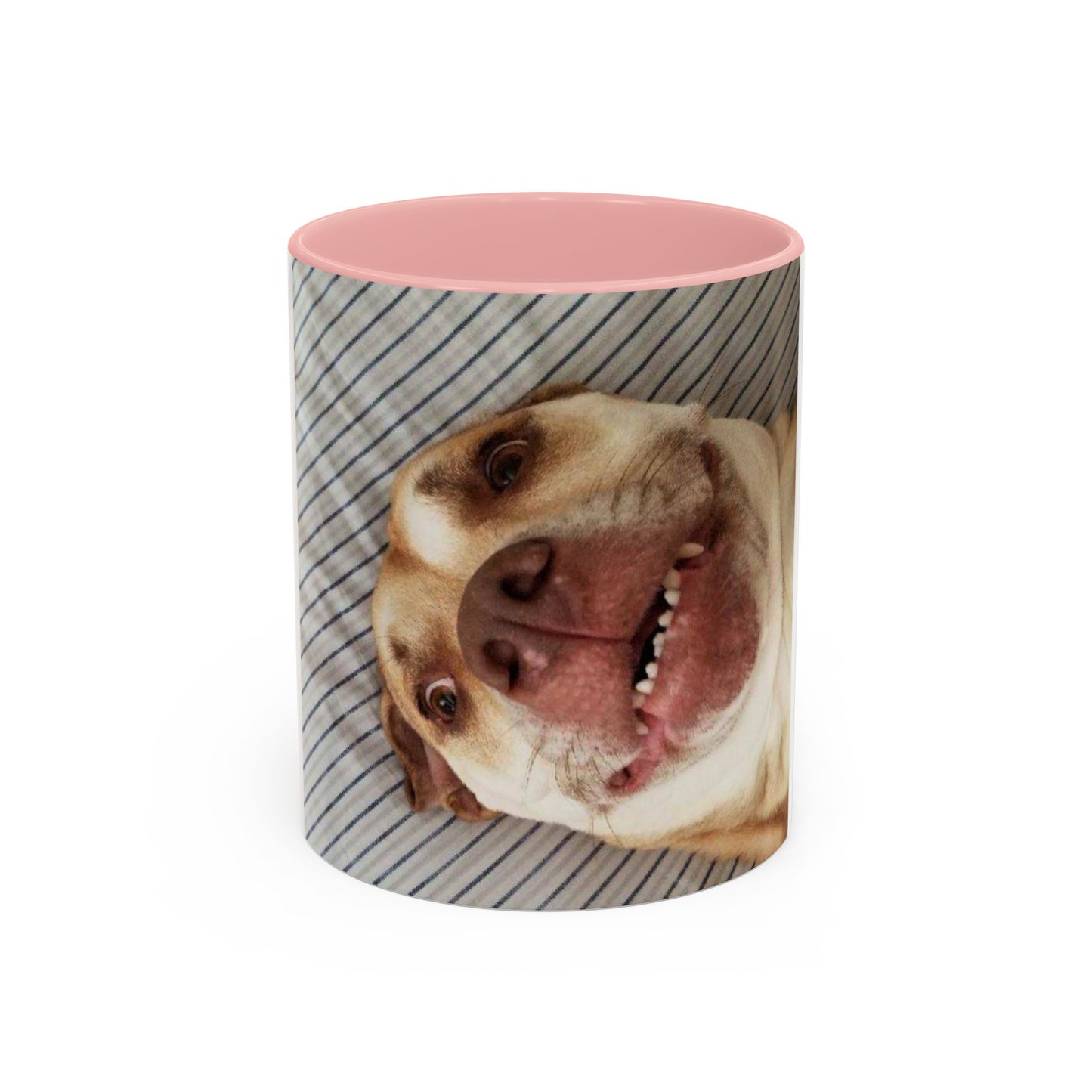 Funny Bully Mug (11, 15oz)